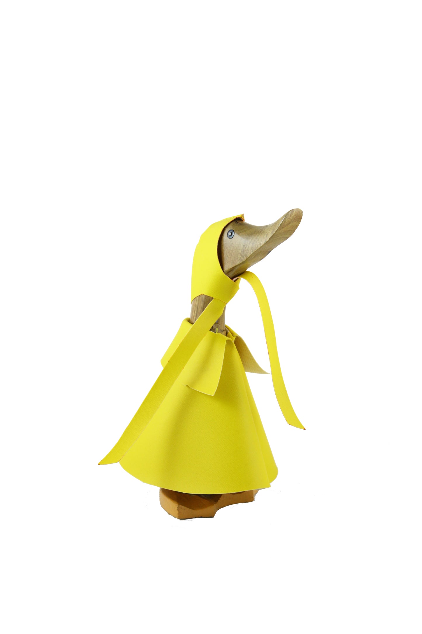 Raincoat Ducks (Individual or as a Family)