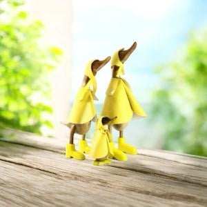 Raincoat Ducks (Individual or as a Family)