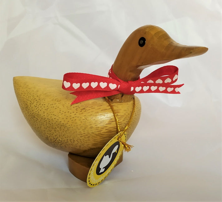 Ribbon Duckling